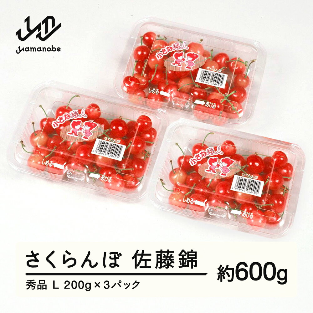 【ふるさと納税】先行予約 さくらんぼ 佐藤錦 秀品 L 約600g 令和7年産 2025年産 山形県産 フルーツ 果物 送料無料 tf-snpsl600のサムネイル