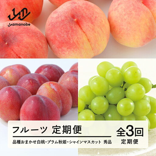 【ふるさと納税】 【先行予約】【フルーツ定期便】品種おまかせ白桃・プラム秋姫・シャインマスカット 秀品 全3回 送料無料 tf-ft3hpb 【ふるさと納税】 【先行予約】【フルーツ定期便】品種おまかせ白桃・プラム秋姫・シャインマスカット 秀品 全3回 送料無料 tf-ft3hpb