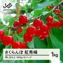 【ふるさと納税】《先行予約》 山形県産 さくらんぼ 紅秀峰 バラパック詰 秀 L玉以上 1kg (500g×2) 2025年6月下旬から順次発送 果物 フルーツ 送料無料 nf-bsbpx500x2