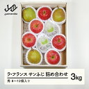 【ふるさと納税】 山形県産 ラ・フランス サンふじ 詰合せ 3kg (8~12個入り) 送料無料 nf-fslrs3|詳細画像