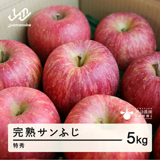 【ふるさと納税】 《先行予約》2025年 山形県産 完熟 サンふじ りんご 特秀品 5kg 14〜20個 2025年12月上旬から順次発送 リンゴ フルーツ 送料無料 F20A-903 【ふるさと納税】 《先行予約》2025年 山形県産 完熟 サンふじ りんご 特秀品 5kg 14〜20個 2025年12月上旬から順次発送 リンゴ フルーツ 送料無料 F20A-903