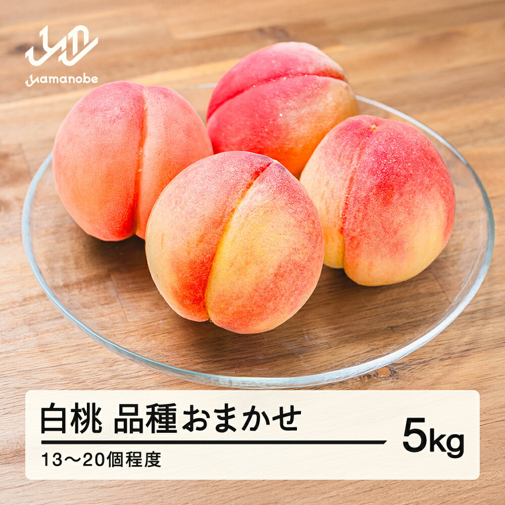 【ふるさと納税】【先行予約】もも 白桃 品種おまかせ 約5kg 令和8年産 2026年産 山形県産 果物 送料無..