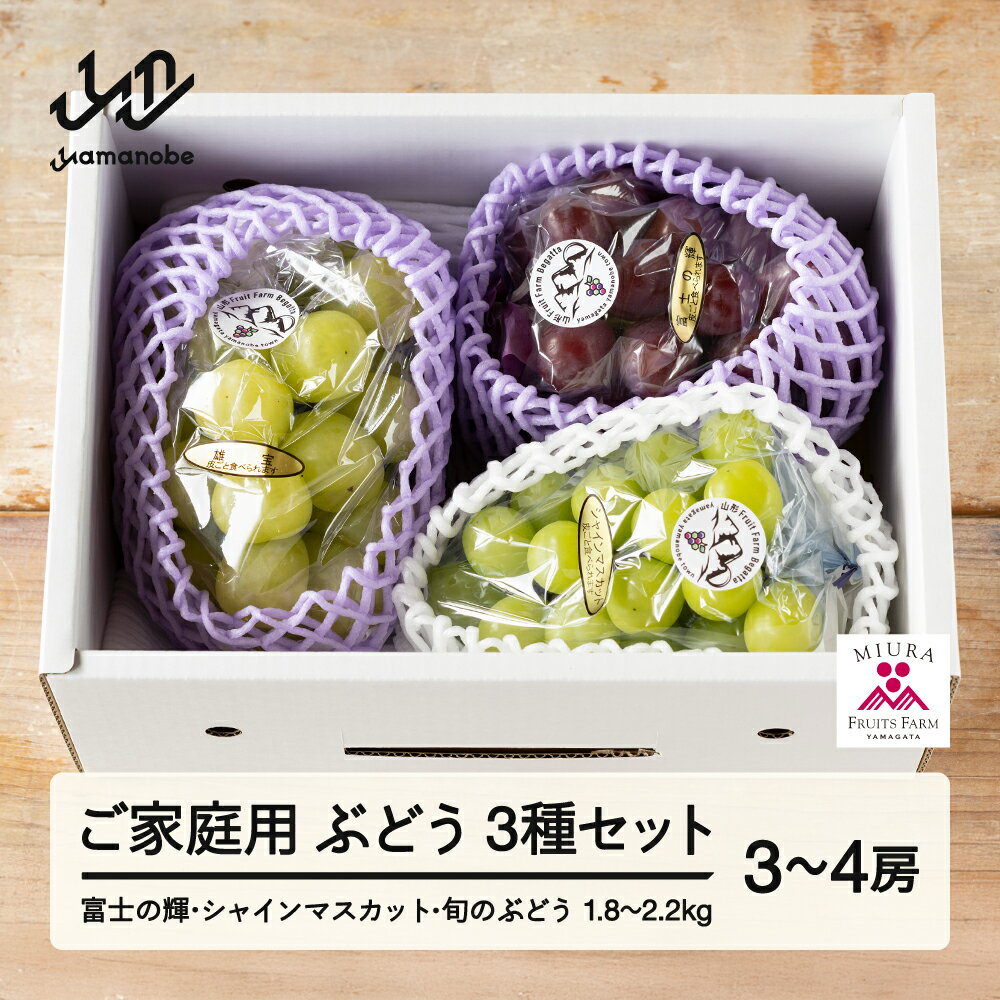 【ふるさと納税】先行予約 ぶどう 富士の輝 シャインマスカット 他1種 3種セット ご家庭用 令和8年産 2..
