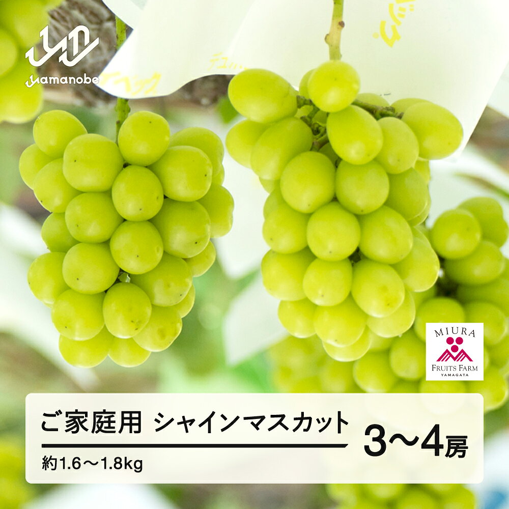 【ふるさと納税】先行予約 ぶどう シャインマスカット 3〜4房セット ご家庭用 令和8年産 2026年産 山形県山辺町産 フルーツ 果物 送料無料 bg-busxk1600