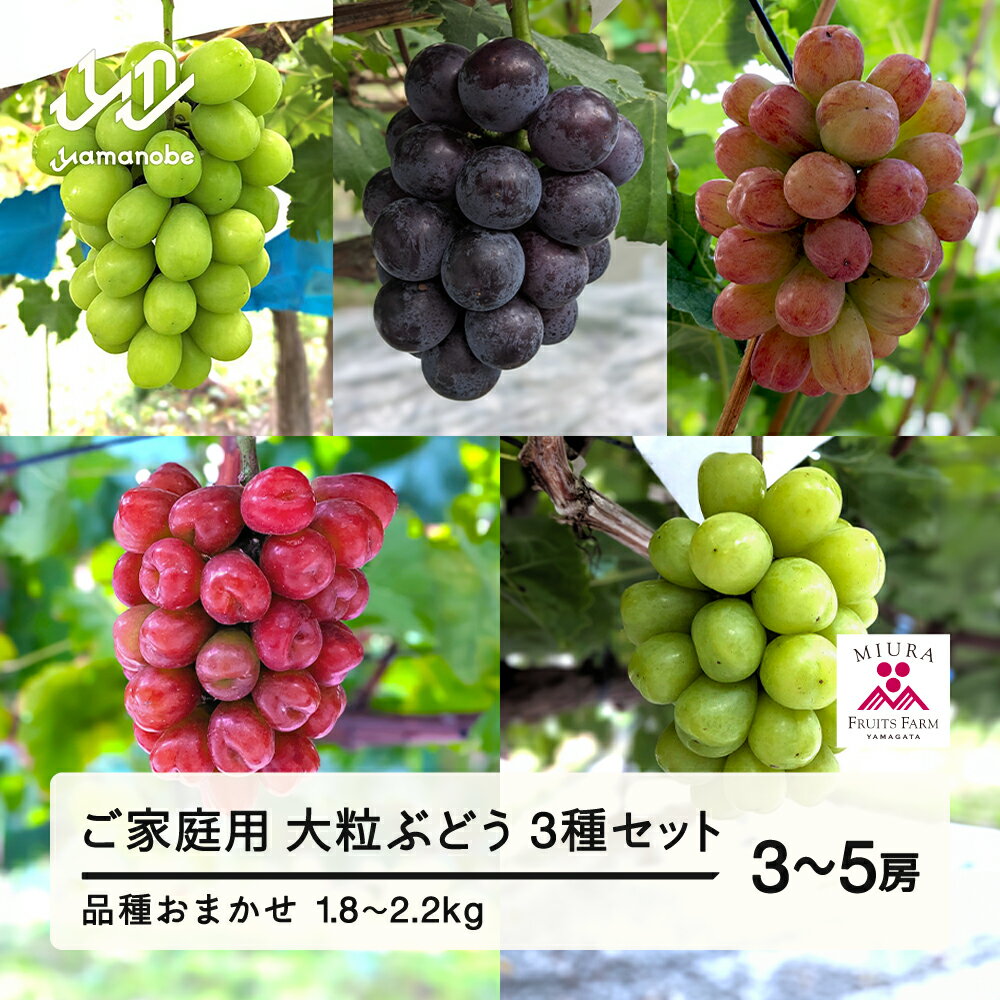 [農業者支援]≪先行予約≫ご家庭用 2026年山形県産 品種おまかせ 大粒ぶどう3種セット 1.8〜2.2kg(3〜5房) 2026年9月中旬から順次発送 大粒 種なし 皮ごと食べられる 送料無料 F21A-441