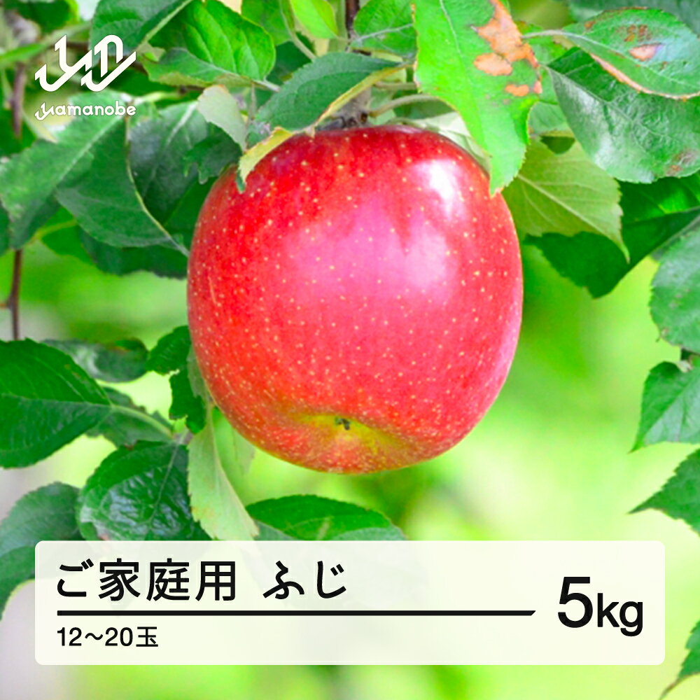 先行予約 2025年 山形県産 ふじ りんご ご家庭用 5kg(12玉~20玉程度)送料無料 ※沖縄・離島への配送不可 sa-risfk5
