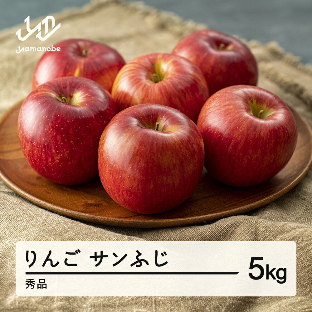 【ふるさと納税】 《先行予約》2025年 山形県産 サンふじ りんご 5kg(15玉程度) 秀品 ※沖縄・離島への配送不可 送料無料 sa-risfs5-b