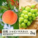 【ふるさと納税】先行予約 白桃 秀品&シャインマスカット 詰め合わせ 品種おまかせ 約2kg 令和7年産 2025年産 山形県産 果物 送料無料 ns-fshs...
