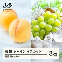 【ふるさと納税】《先行予約》有袋黄桃 シャインマスカット 秀品 詰め合わせ 3kg 令和8年産 2026年産 果物 桃 黄桃 送料無料 ※沖縄・離島への配送不可 ns-fsosx3