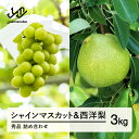 【ふるさと納税】《先行予約》シャインマスカット 秀品 & 西洋梨 詰め合わせ 3kg 令和8年産 2026年産 果物 梨 洋梨 送料無料 ※沖縄・離島への配送不可 ns-fssyx3|詳細画像