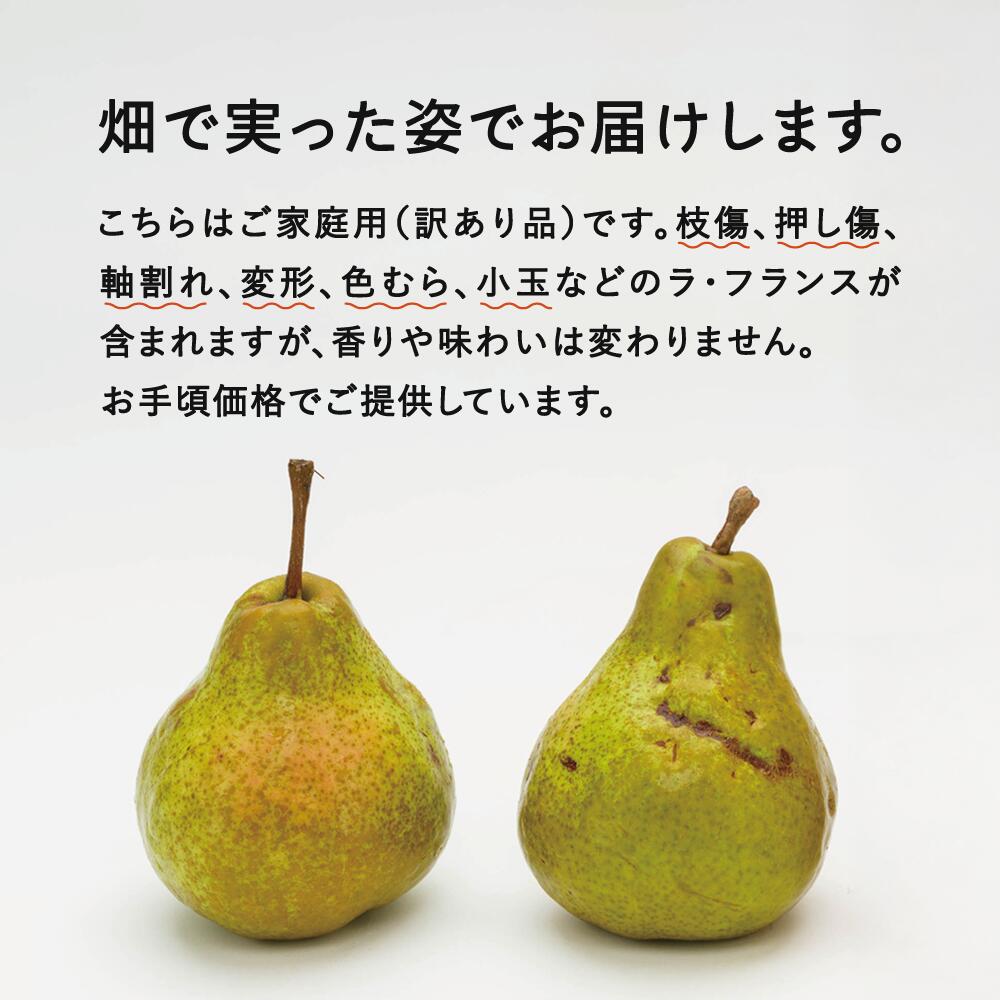 【ふるさと納税】ラ・フランス ご家庭用 5kg 令和7年産 2025年産 西洋梨 山形県産 果物 送料無料 ※沖縄・離島への配送不可 ns-laxxw5