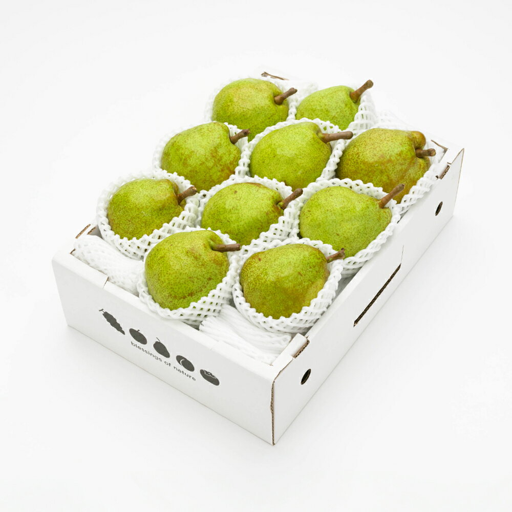 【ふるさと納税】ラ・フランス 化粧箱 3kg 令和7年産 2025年産 山形県産 ラフランス 果物 送料無料 ※沖縄・離島への配送不可 ns-laxxx3