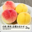 【ふるさと納税】先行予約 もも 白桃&有袋黄桃 秀品 品種おまかせ 化粧箱入り 約2kg 令和7年産 2025年産 山形県産 果物 送料無料 ns-mohot2 ※沖縄・離島への配送不可