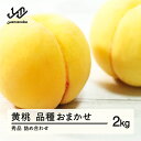 【ふるさと納税】先行予約 もも 有袋黄桃 秀品 品種おまかせ 化粧箱入り 約2kg 令和7年産 2025年産 山形県産 果物 送料無料 ns-mootx2 ※沖縄・離島への配送不可