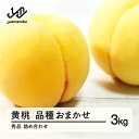 【ふるさと納税】先行予約 もも 有袋黄桃 秀品 品種おまかせ 化粧箱入り 約3kg 令和7年産 2025年産 山形県産 果物 送料無料 ns-mootx3 ※沖縄・離島への配送不可(4)