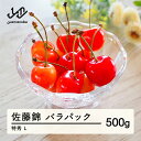 【ふるさと納税】 《先行予約》2025年 山形県産さくらんぼ 佐藤錦 500g バラパック 特秀 L 送料無料 tt-sntlp500