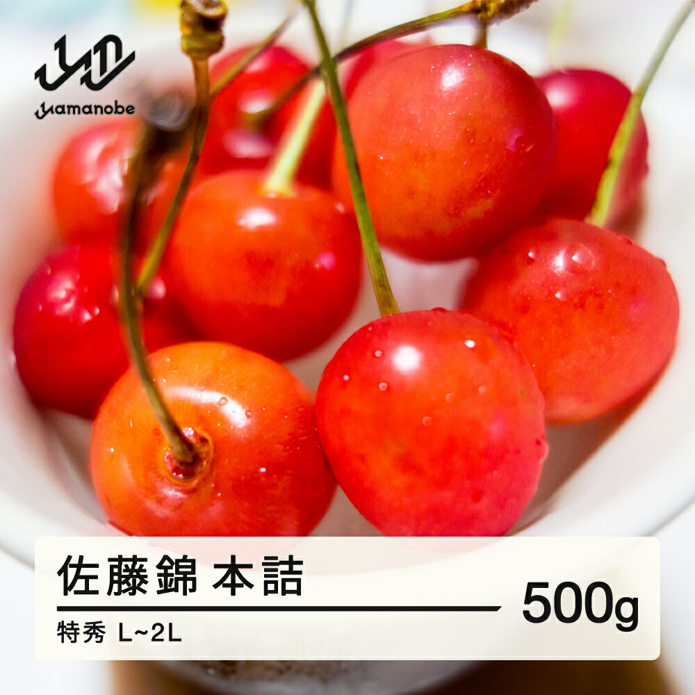 【ふるさと納税】 《先行予約》贈答用 2025年産 山形県産 さくらんぼ 佐藤錦 500g 本詰 特秀 L〜2L 2025年6月10日頃から順次発送 F20A-022