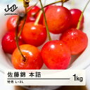 【ふるさと納税】 《先行予約》贈答用 2025年産 山形県産 さくらんぼ 佐藤錦 1kg 特秀 L〜2L 本詰 2025年6月10日頃から順次発送 送料無料 F...