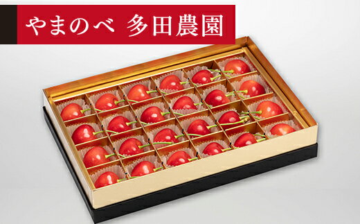 [先行予約]2026年 山形県産 珠玉ダイアナブライト みやび箱詰24粒 やまのべ多田耕太郎のさくらんぼ 送料無料 F20A-043