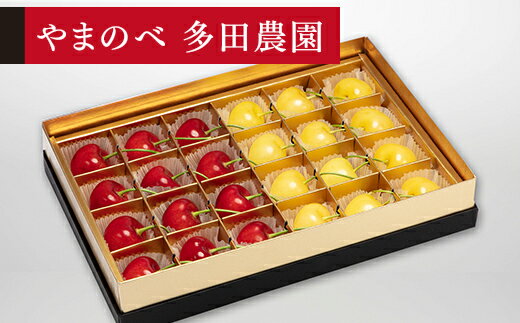 [先行予約]2026年 山形県産 月山錦・紅秀峰 みやび箱詰 やまのべ多田耕太郎のさくらんぼ 送料無料 F20A-045
