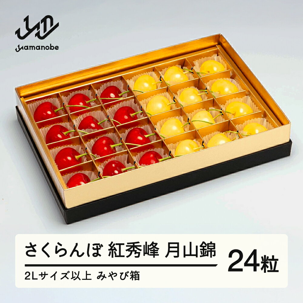 サクランボのふるさと納税