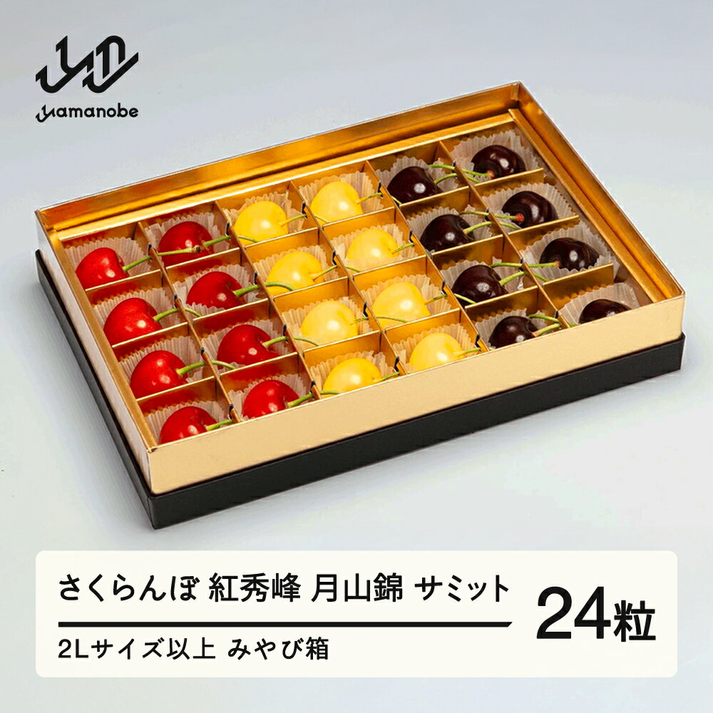 【ふるさと納税】《先行予約》202...