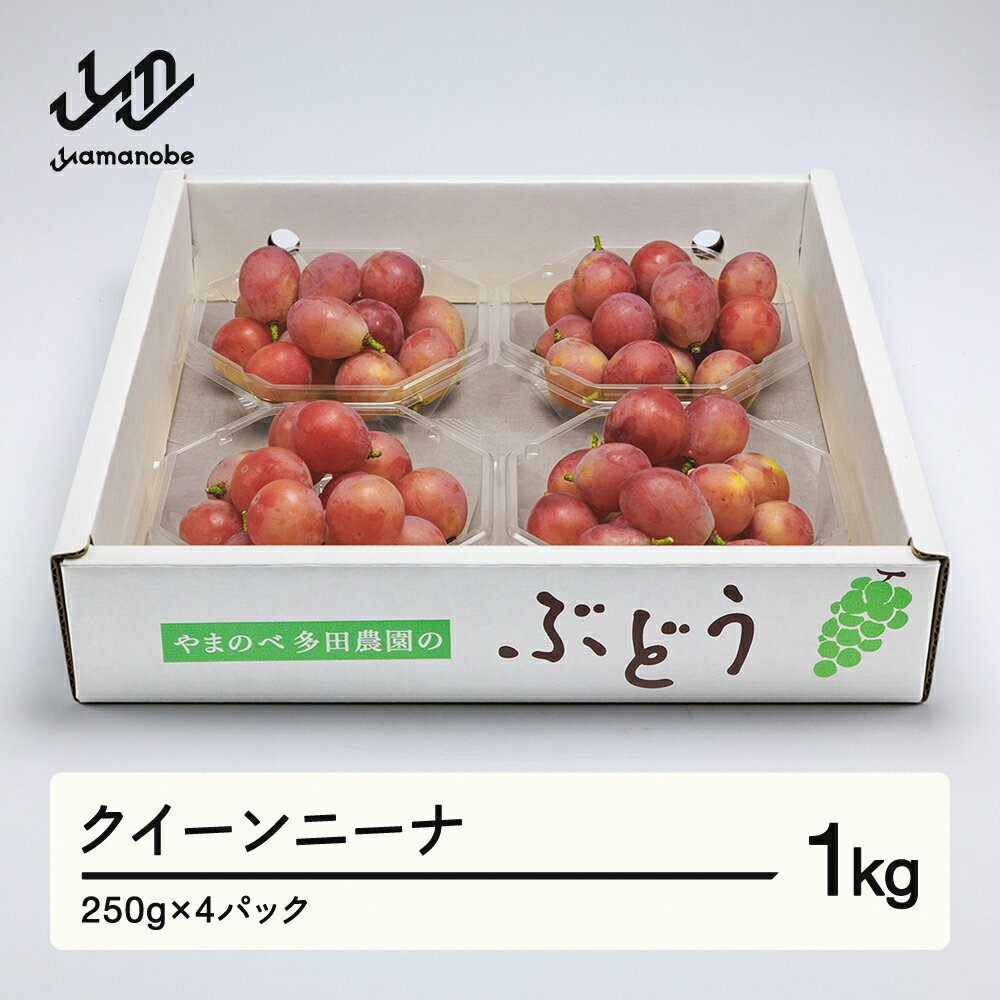 [先行予約]2026年 山形県産 クイーンニーナ ダイヤパック 250g×4パック やまのべ多田農園のぶどう 送料無料 tn-buqnd4