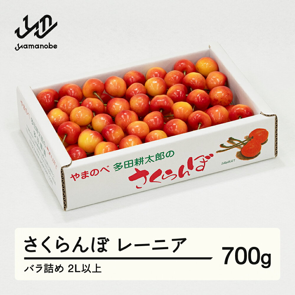 [先行予約]2026年 山形県産 レーニア バラ詰め 約700g やまのべ多田耕太郎のさくらんぼ サクランボ tn-rnx2b700