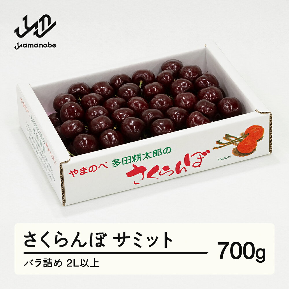 [先行予約]2026年 山形県産 サミット バラ詰め 約700g やまのべ多田耕太郎のさくらんぼ サクランボ tn-smx2b700