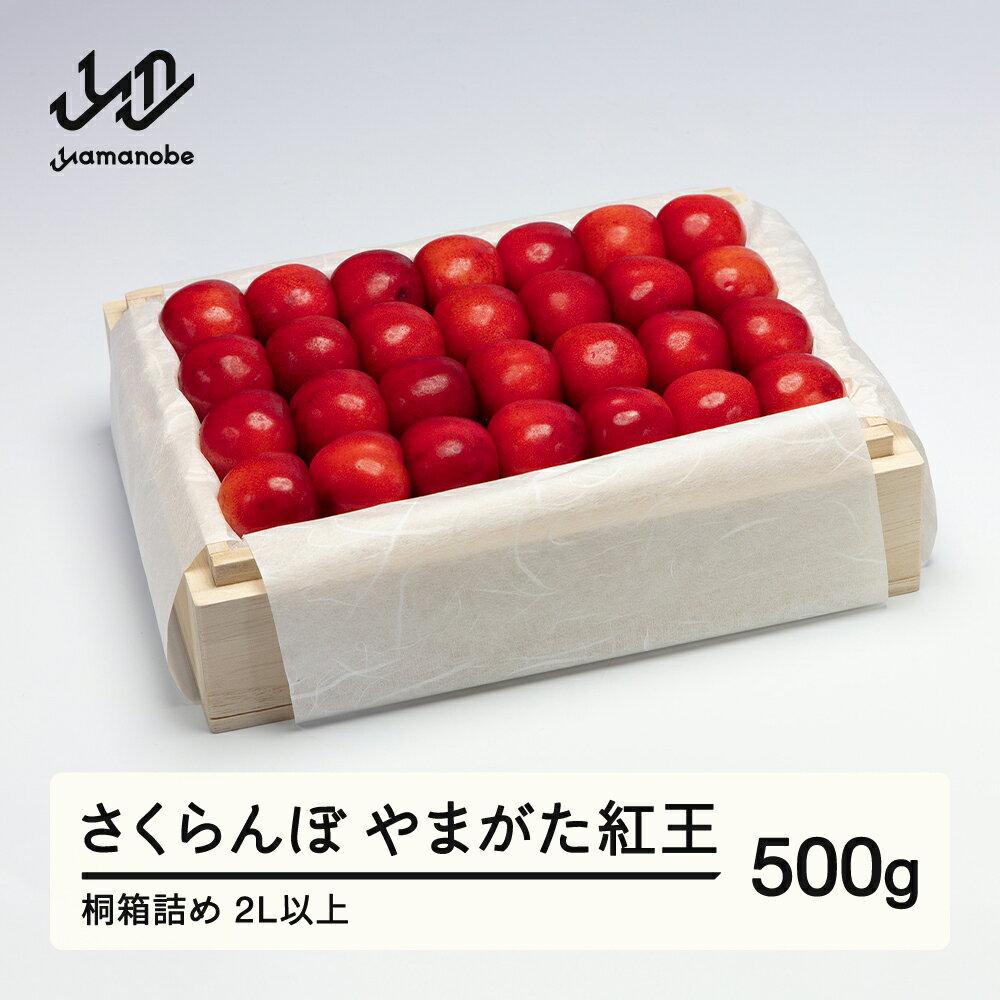 【ふるさと納税】《先行予約》2026年 山形県産 やまがた紅王 特選桐箱詰約500g やまのべ多田耕太郎のさくらんぼ 送料無料 tn-ybxxk500