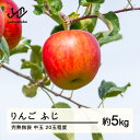 【ふるさと納税】 《先行予約》2025年産 渡辺果樹園 完熟無袋 りんご ふじ 約5kg(20玉程度)中玉 2025年12月上旬より順次発送 秋果実 果物 フルーツ サンふじ 送料無料 F20A-142