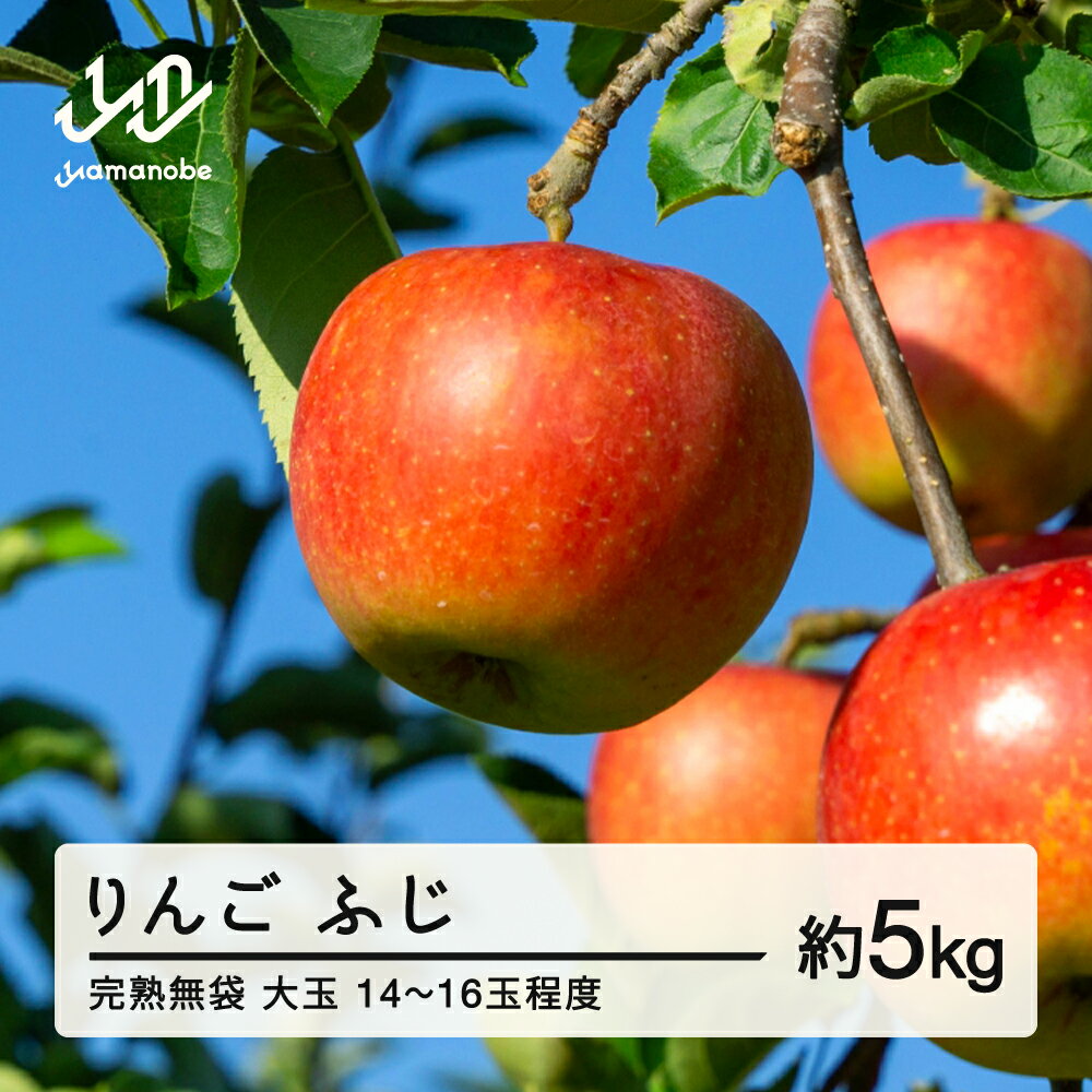 【ふるさと納税】 《先行予約》2025年産 渡辺果樹園 完熟無袋 りんご ふじ 約5kg(14〜16玉程度) 大玉 2025年12月上旬より順次発送 秋果実 果物 フルーツ サンふじ 送料無料 F20A-141