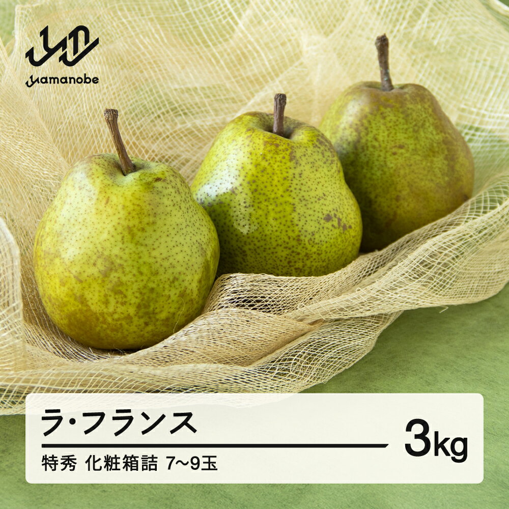 [先行予約]山形県産 西洋梨(ラ・フランス)約3kg 2025年産 令和7年産 特秀 化粧箱詰(7〜9玉) 送料無料 ※沖縄・離島への配送不可 F20A-072