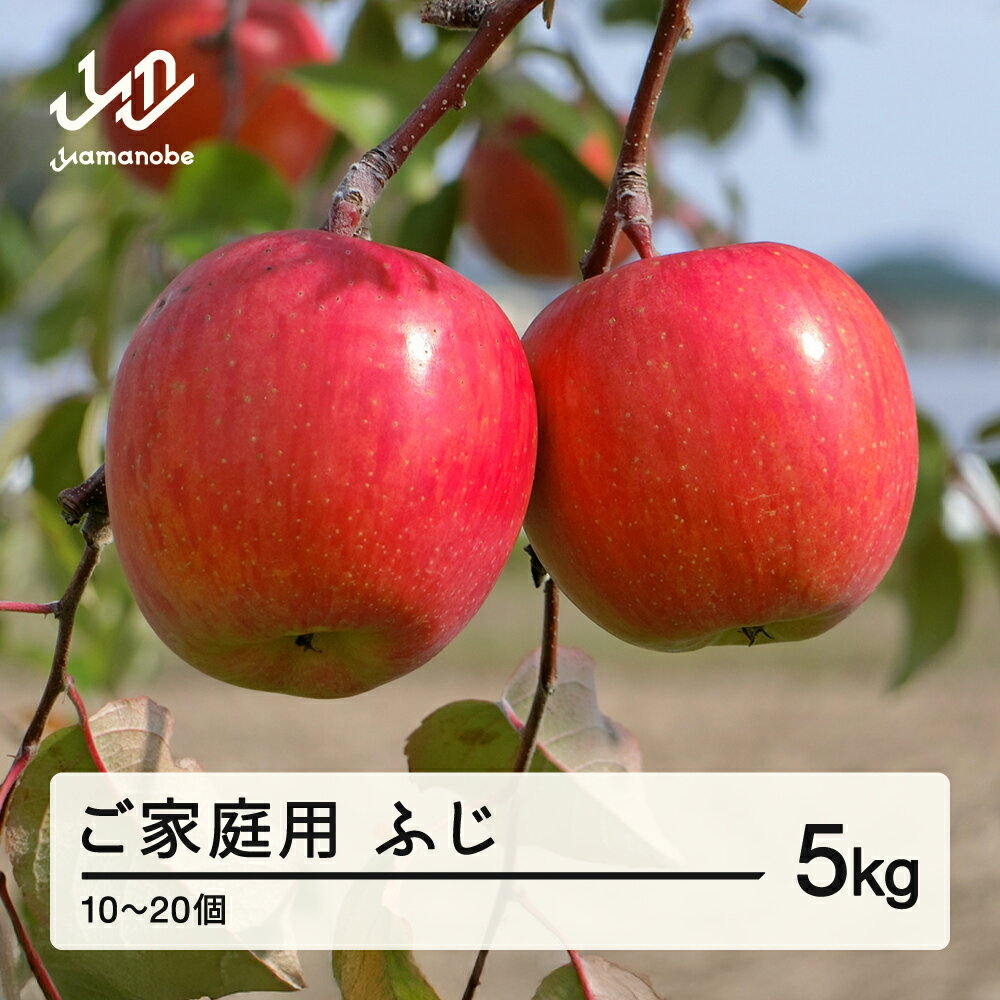 先行予約 2025年 山形県産 ご家庭用 ふじ りんご 5kg(10〜20個) 2025年11月下旬頃から順次発送 送料無料 ※沖縄・離島への配送不可 tj-risfk5