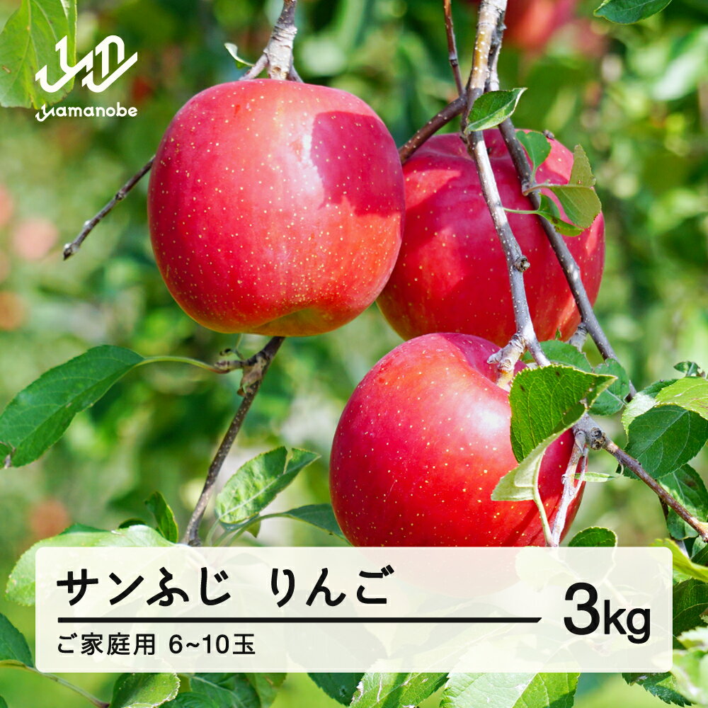 先行予約 ご家庭用 2025年 令和7年産 山形県産 ご家庭用 サンふじ りんご 3kg(6~10玉) 送料無料 yf-risfk3