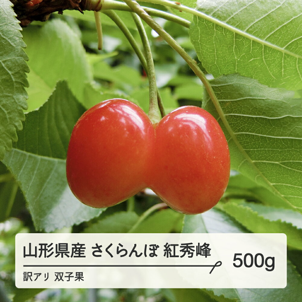 [農家支援]2024年 山形県産 さくらんぼ 訳あり 双子果混合ML 紅秀峰 bg-bswxx500