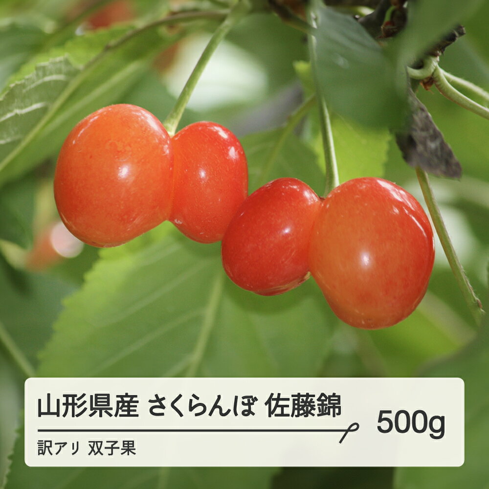 [農家支援]2024年 山形県産 さくらんぼ 訳あり 双子果混合ML 佐藤錦 500g bg-snwxx500