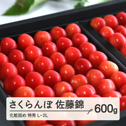 ≪先行予約≫ 贈答用 2024年 山形県産 さくらんぼ 佐藤錦 化粧詰め 600g 特秀 L～2L 2024年6月中旬頃から順次発送 サクランボ フルーツ くだもの 果物 F21A-434