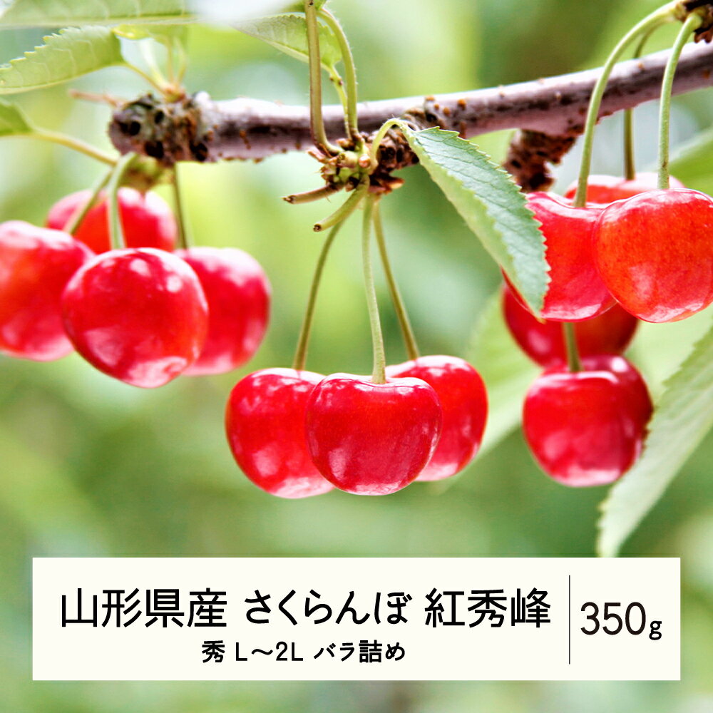 【ふるさと納税】 《先行予約》2024年 山形県産 さくらんぼ 紅秀峰 バラ詰 350g 秀 L～2L サクランボ F21A-479