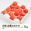 【ふるさと納税】先行予約 もも 白桃 秀品 品種おまかせ 化粧箱入り 約5kg 令和7年産 2025年産 山形県産 果物 送料無料 ns-mohtx5※沖縄・離島への配送不可(4)