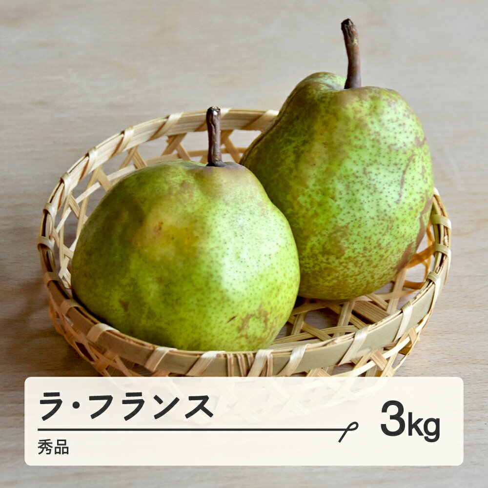 【ふるさと納税】 《先行予約》2025年 山形県産 ラ・フランス 秀品 3kg(6〜10個) 2025年10月下旬より順次発送 送料無料 F21A-348