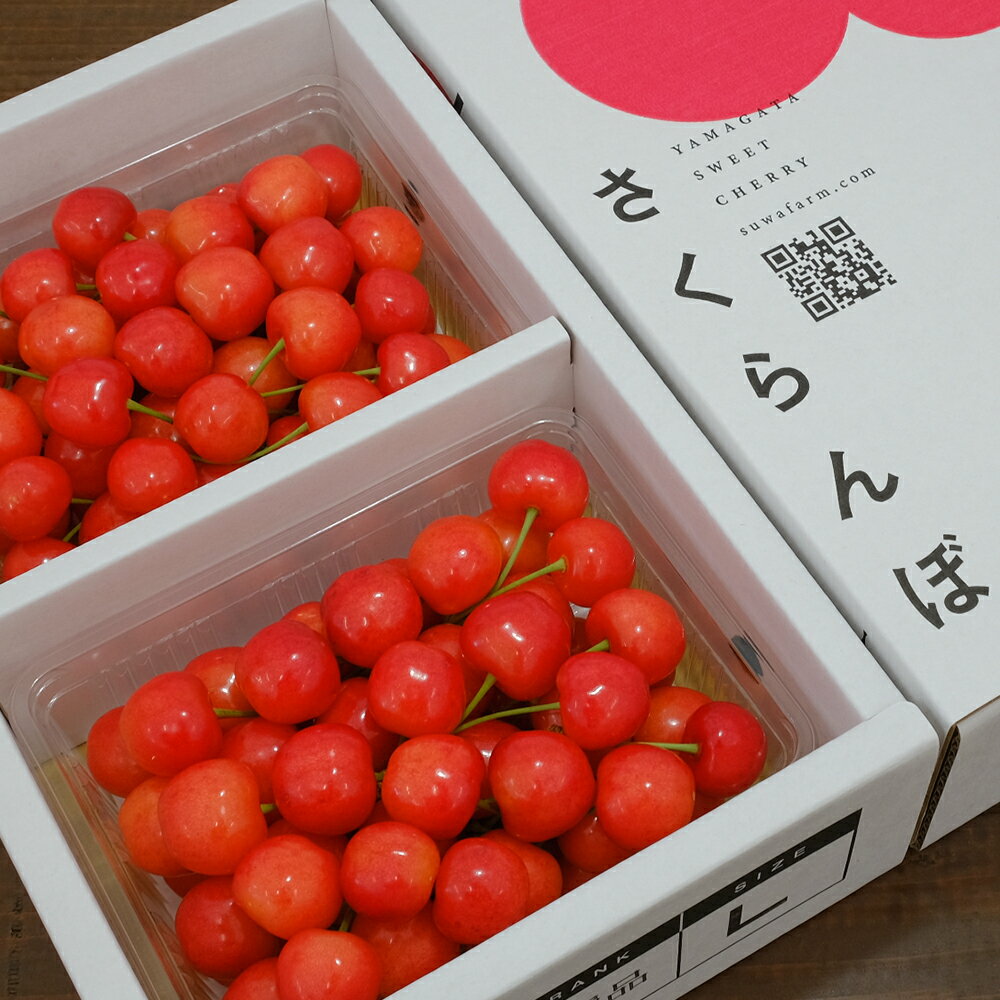 【ふるさと納税】《先行予約》2023年 山形県産 さくらんぼ 佐藤錦 特選品 1kg バラ詰め（パック）L以上 特秀〜秀 F20A-527のサムネイル