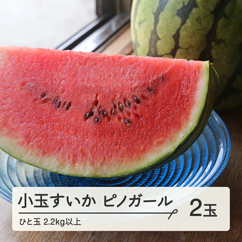 52位! 口コミ数「1件」評価「5」 《先行予約》2024年 山形県産 お子さんに大人気！小玉スイカ「ピノガール」 2玉（2.2kg以上×2玉）2024年7月下旬から順次発送 ･･･ 