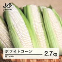 【ふるさと納税】 《先行予約》2026年 山形県産 ホワイトコーン ピュアホワイト 2.7kg(7-9本)生で味わう 白とうもろこし トウモロコシ コーン 夏 野菜 やさい ※沖縄・離島への配送不可 送料無料 F21A-244