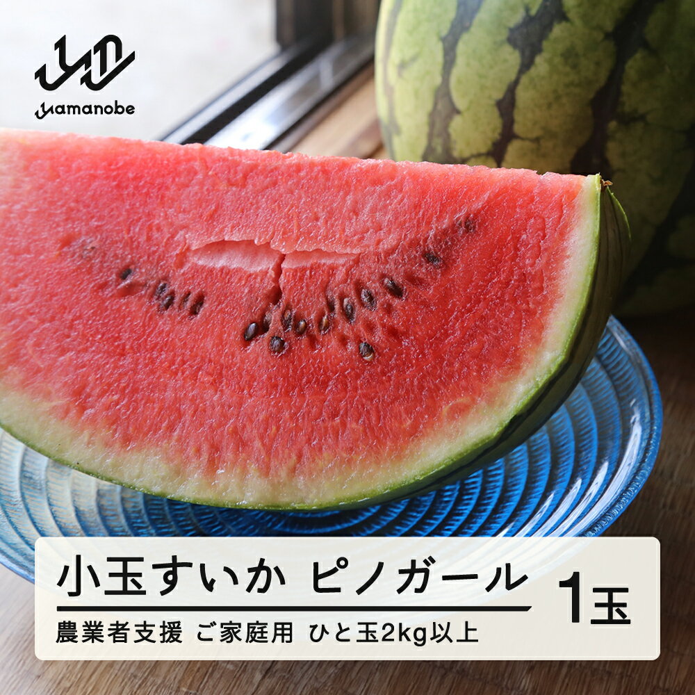 【ふるさと納税】≪先行予約≫ 農業者支援 ご家庭用 2025年 山形県産 小玉スイカ ピノガール 1玉(2kg以上) すいか スイカ 西瓜 果物 野菜 訳あり 送料無料 ot-supgx1のサムネイル