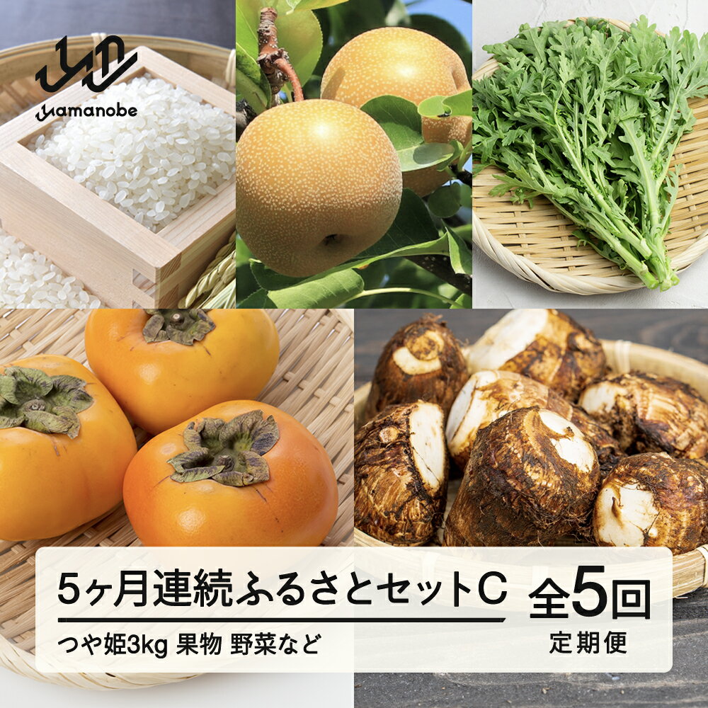 【ふるさと納税】山形県産 《5カ月連続》 産直 やまのべ温泉市 ふるさとセットC F20A-566 ※沖縄・離島への配送不可