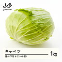 【ふるさと納税】 ≪先行予約≫ 2026年 山形県産 雪の下育ち キャベツ 1kg(3~6個) 2026年1月中旬から順次発送 野菜 送料無料 F21A-368