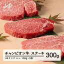 【ふるさと納税】牛肉 ステーキ 第30回山形県家畜商牛枝肉共進会チャンピオン受賞 山形牛 ヒレステーキ 100g×3枚 A5ランク 牛肉 黒毛和牛 国産 厚切り...