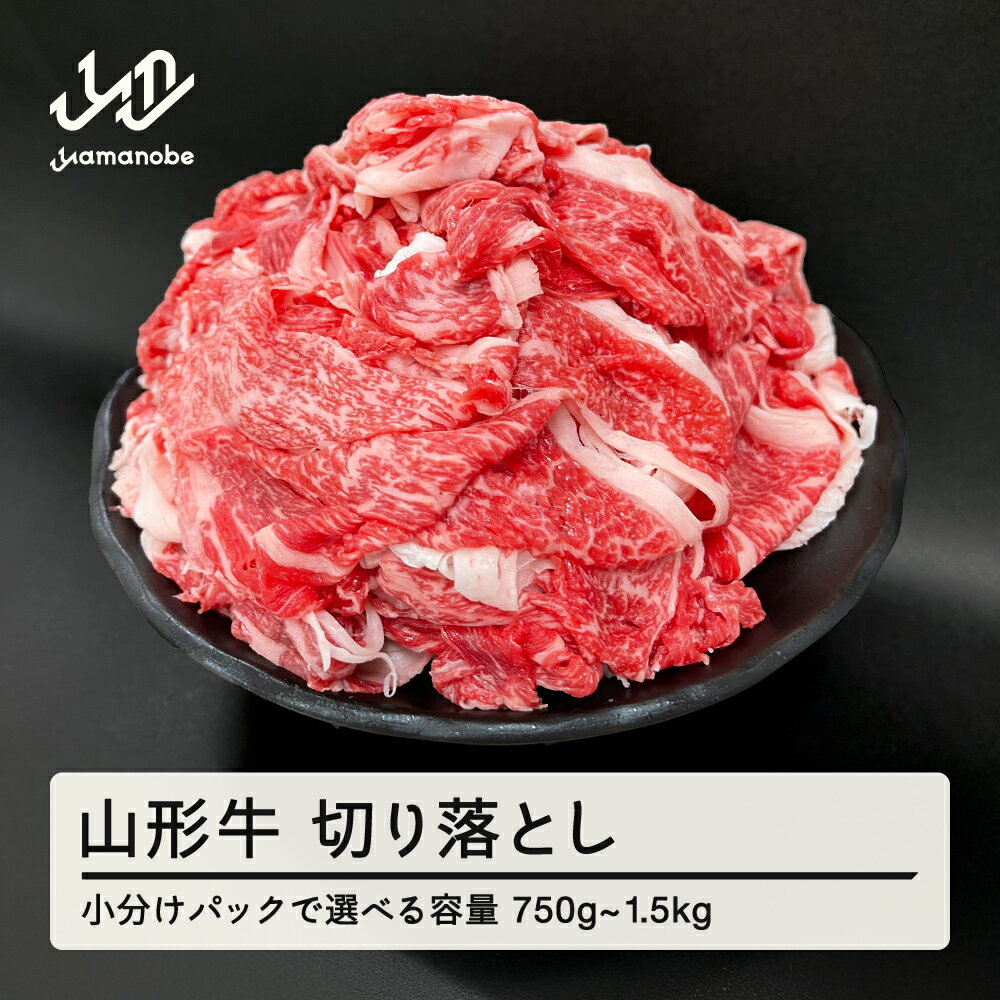 【ふるさと納税】山形牛 切り落とし 部位お任せ 形不揃い 牛肉 高橋畜産 送料無料 ※沖縄・離島への配送不可 tc-gnxox