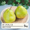 【ふるさと納税】 《先行予約》2025年 山形県産 西洋梨(ラ・フランス)約5kg・秀以上(10~20玉)2025年11月上旬頃順次発送 果物 くだもの フルーツ 秋果実 ラフランス 送料無料 F20A-073
